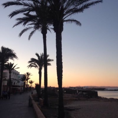 GianMarcos84's profile picture. Economia Finanzas