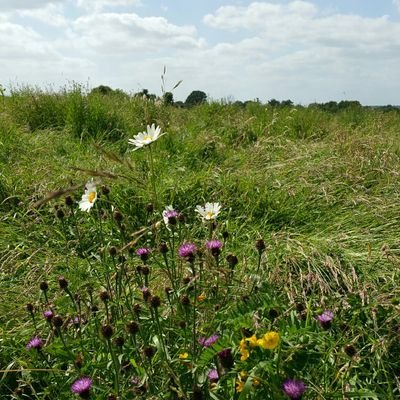 squirellseye's profile picture. Grenfell Tower  info from a variety of sources 
Best to start at the earliest tweets.