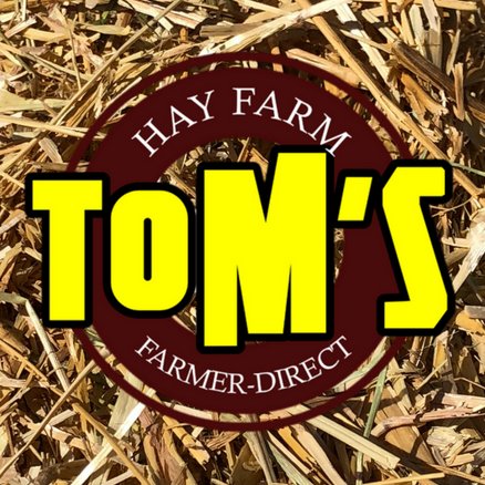 TomsHayFarm's profile picture. 