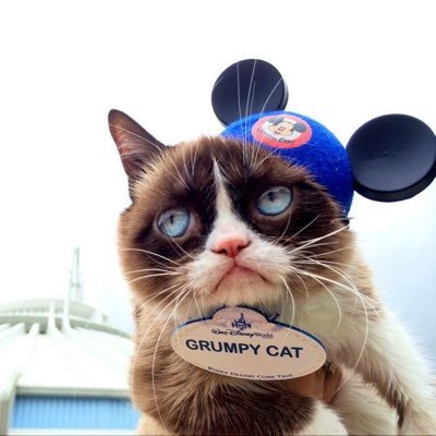 scottstots1028's profile picture. 