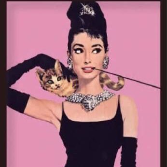 karin19901108's profile picture. 