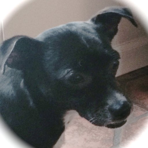 evwayne's profile picture. 