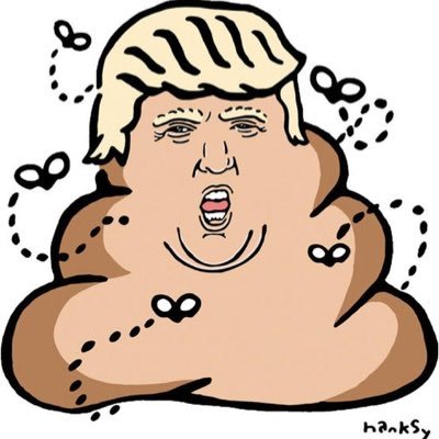 Twitter is my outlet to vent against the Orange Turd Against Humanity.