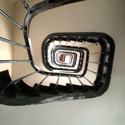 SingleGirlOC's profile picture. Freedom of speech is imperative. I will correct your spelling. I have no problem fighting against ignorance. 46th District