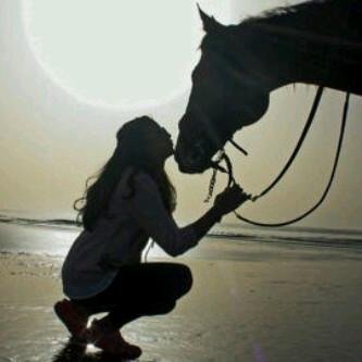 betterfly55's profile picture. التمآدِي فيِ أحلامِناَ ليسَ عيباً ! ولَكِن للبَشر هَوَسٌ بـ حُبِ إنكِسَارِنا 😔 !