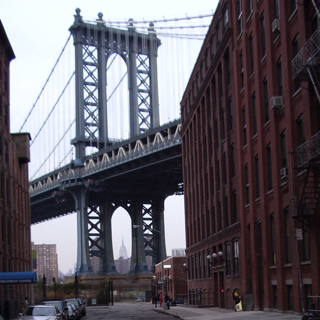 gracefulli's profile picture. Software Engineer