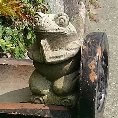 solさんのプロフィール画像