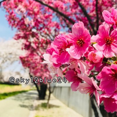 そらさんのプロフィール画像