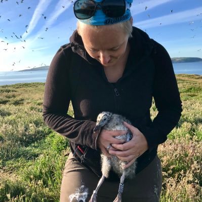 Bird ringer, volunteer cetacean surveyor, beach clean-upper, canine and human mother.