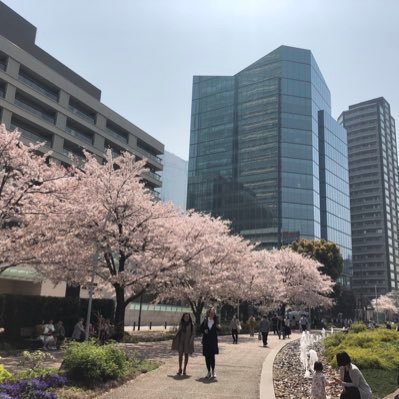 bhnkooo's profile picture. 