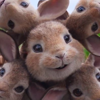 tomato_mamio3's profile picture. 