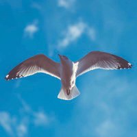 ..♤ (@1r___99) 's Twitter Profile