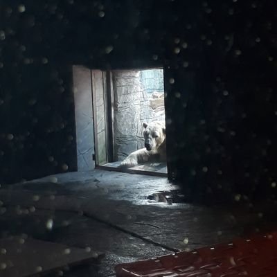 manikandankrmz's profile picture. News