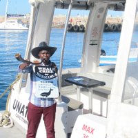 Hermanus Whale Crier (@whalecrier) 's Twitter Profile