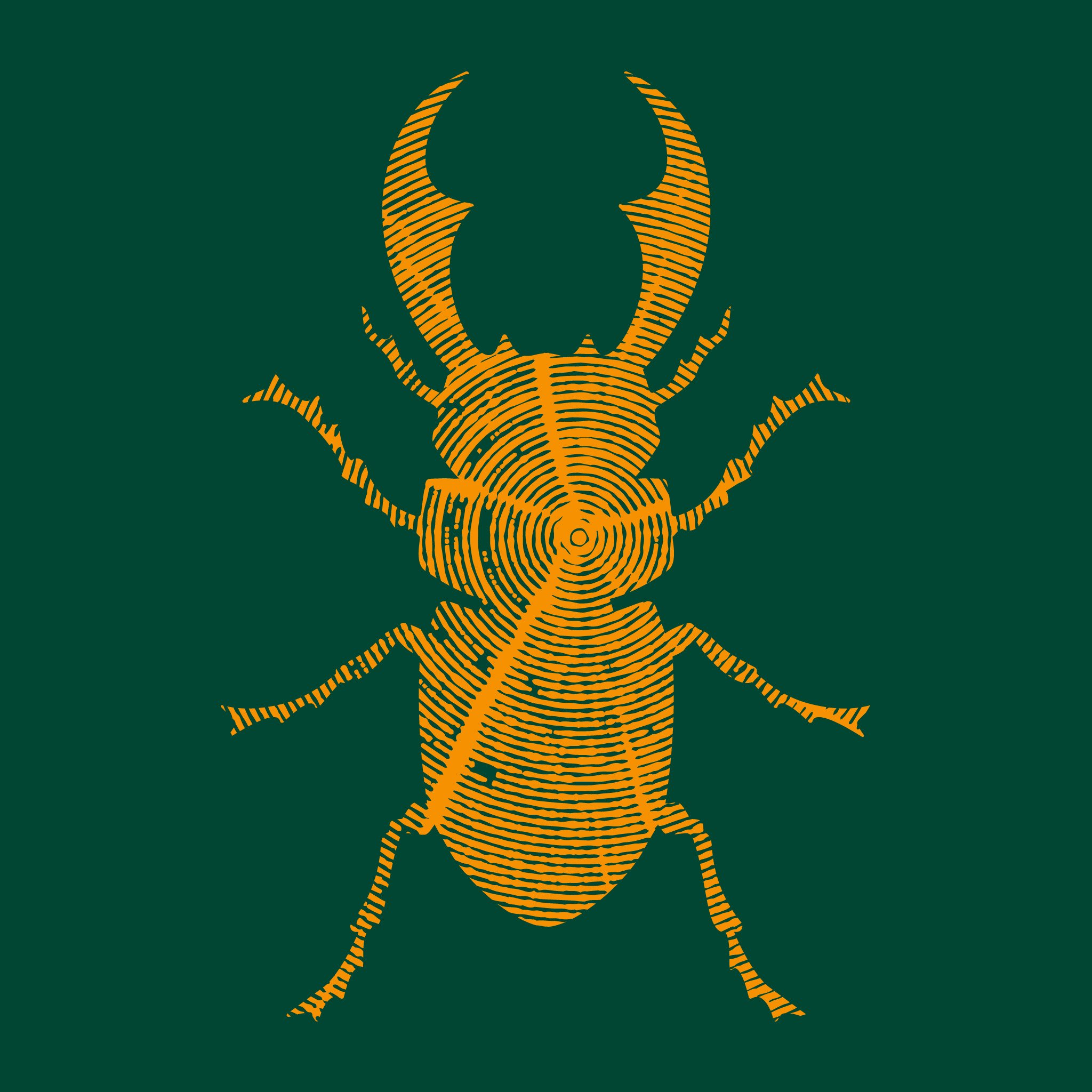 Constructing stag beetle habitats at schools etc. across Sussex. Raising stag beetle, insect, & dead wood habitat awareness. Run by @stagbeetlemax