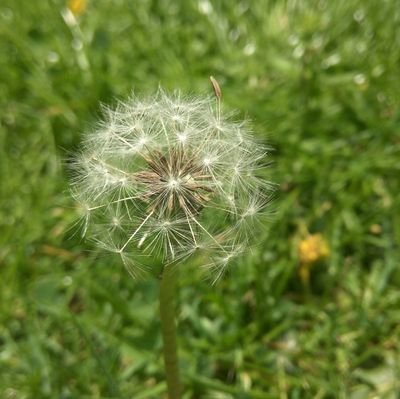 Gowthamarch1's profile picture. .