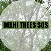 DelhiTreesSOS(@DelhiTreesSOS) 's Twitter Profile Photo