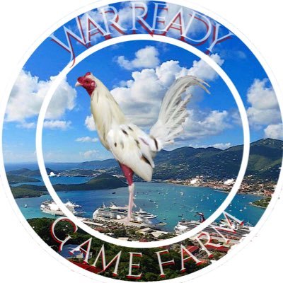 BIGGIE_340's profile picture. Just minding my business and here to post a meme or two.