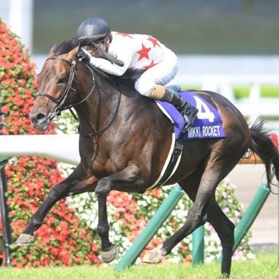 競馬で今年こそプラスになる男 アジング 見事な空振り お手をフルスイングで失敗する犬が話題に T Co C0rieo0lle Takumiharimayaより 犬好きにはたまらな 全力 空振り お手