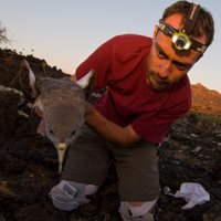Jacopo G Cecere (@jgcecere) 's Twitter Profile Photo Jacopo G Cecere (@jgcecere) 's Twitter Profile Photo