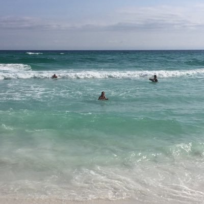 tracybludgen's profile picture. 