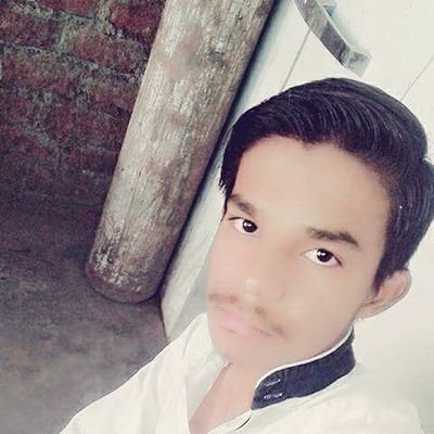 TausifS13186297's profile picture. 