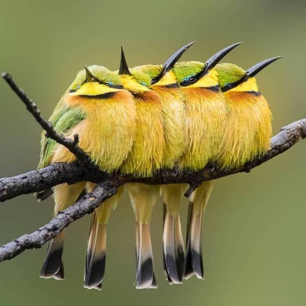 jaco505's profile picture. kritisch-soms gevat-een beetje stoken hier en daar-dat blijft leuk - voor mij