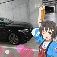 すのこ (@nok0via15) 's Twitter Profile