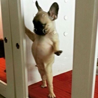 qazxw92's profile picture. เละคักเพราะรักเคะ / ชยอกี / แจเตนล์ / เก่งน้ำปิง / เติ้ลเฟิร์สวัน .