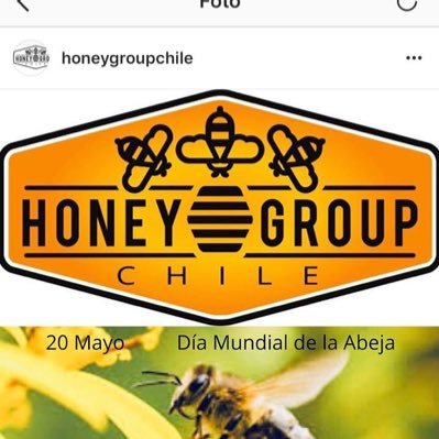 Chilean Beekeepers #AMAZON #Chile 🇨🇱 #Beekeepers #HoneyBusiness #Beepackages #QueenBees pamela.valdes@honeygroupchile.cl @PameValdesI (Tw) +56.9.66074594