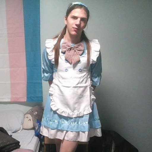 a you-tuber and want to be voice actor and prop maker on top of that trans and proud