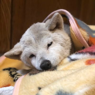 みかさんのプロフィール画像