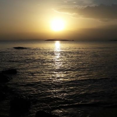 Petros Botonis Profile