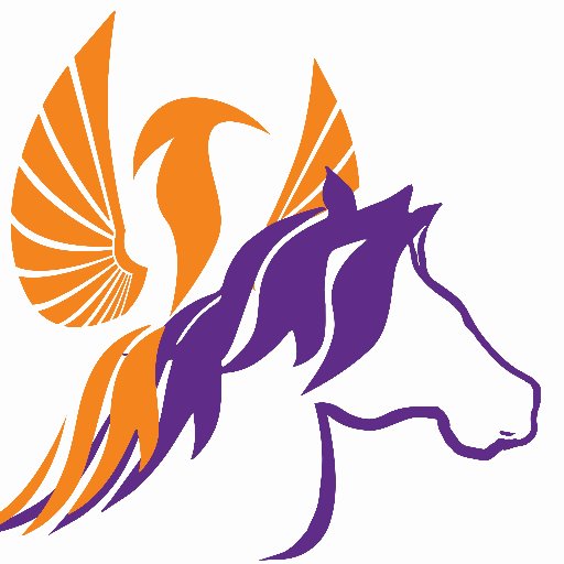 Expertos en liderazgo, integración y comunicación con caballos. Coaching ejecutivo, de vida y asistido con caballos (8 programas) Coaching empresarial.