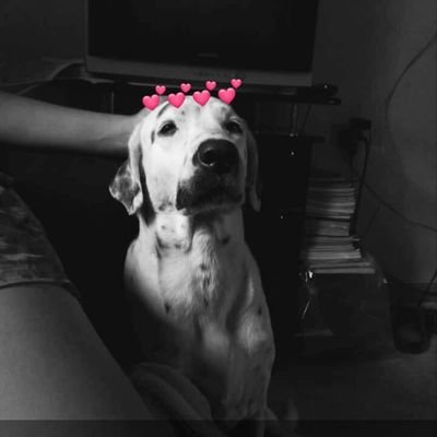 _mndk_v's profile picture. ·Dios primero·