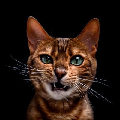 mosin_om's profile picture. Architectural