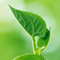 AgroInteligencia (@agrobigdata) 's Twitter Profile