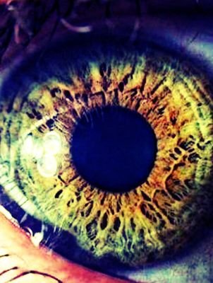 AhmadKhwaja5's profile picture. Just work!