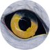 QAnon Decrypted (@qanon_decrypted) Twitter profile photo