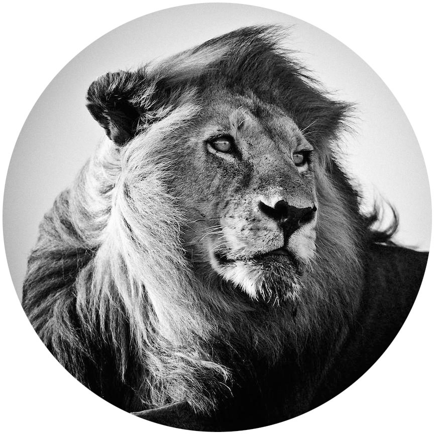 movingPJ's profile picture. 