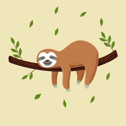 Mañana ya se verá... 🌴🍻🛌💤