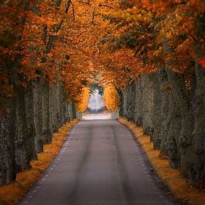 waqas_sh25's profile picture. 