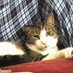 Meatball McFuzzpants (@stuffthatsurvi1) Twitter profile photo Meatball McFuzzpants (@stuffthatsurvi1) Twitter profile photo