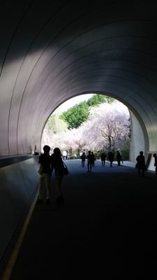 美しいもの大好きです。世界の美術館まわりたいなぁ。🎵
私が観た映画、美術館、日常の中での小さな感動など呟いていきます。
あなたのお勧めの   ✨美✨教えてくださいね。🎵 #映画 #美術館 #茶道 #アート #食育 #華道 #旅行 #読書 #洋楽 #ワンオク #美容 #スイーツ #自然農法 #仮想通貨 #相互フォロー