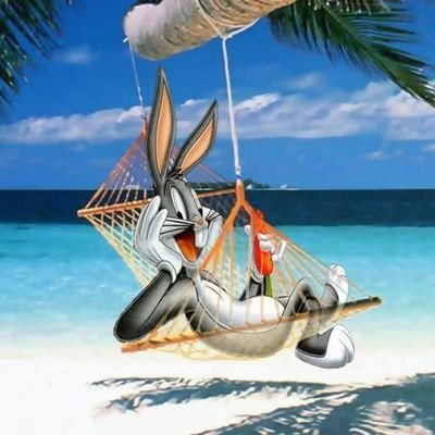 islanddrean41's profile picture. Cool person love to travel