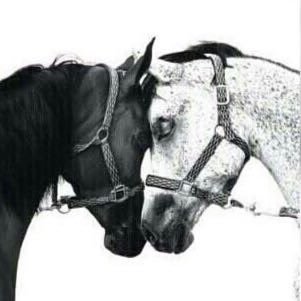 3rdah_91's profile picture. 