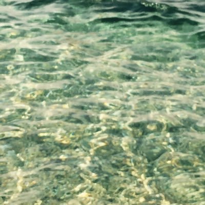 CinarTugce's profile picture. 