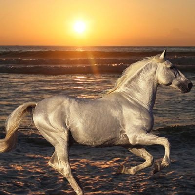 flWHCcwKMk2hrYN's profile picture. 現在の体重101kg。もともと痩せているときは、三上博史と言われた時期も。過去の栄光をもう一度目指します。YouTubeのチャンネル登録をして応援を！