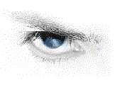 Creator of QuickView.
A C++ image viewer for Windows that actually loads instantly. Just speed. Open Source.