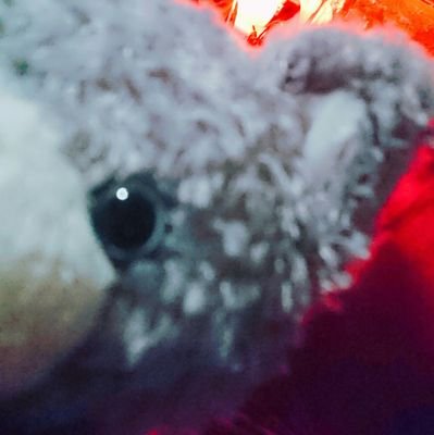 地方済み成人。取引垢。推し、代行、買取、コンプ目的ございます。 取引成立後のキャンセルはおやめください。※仕事の都合上深夜の返信になることが多くございます。ご了承ください。